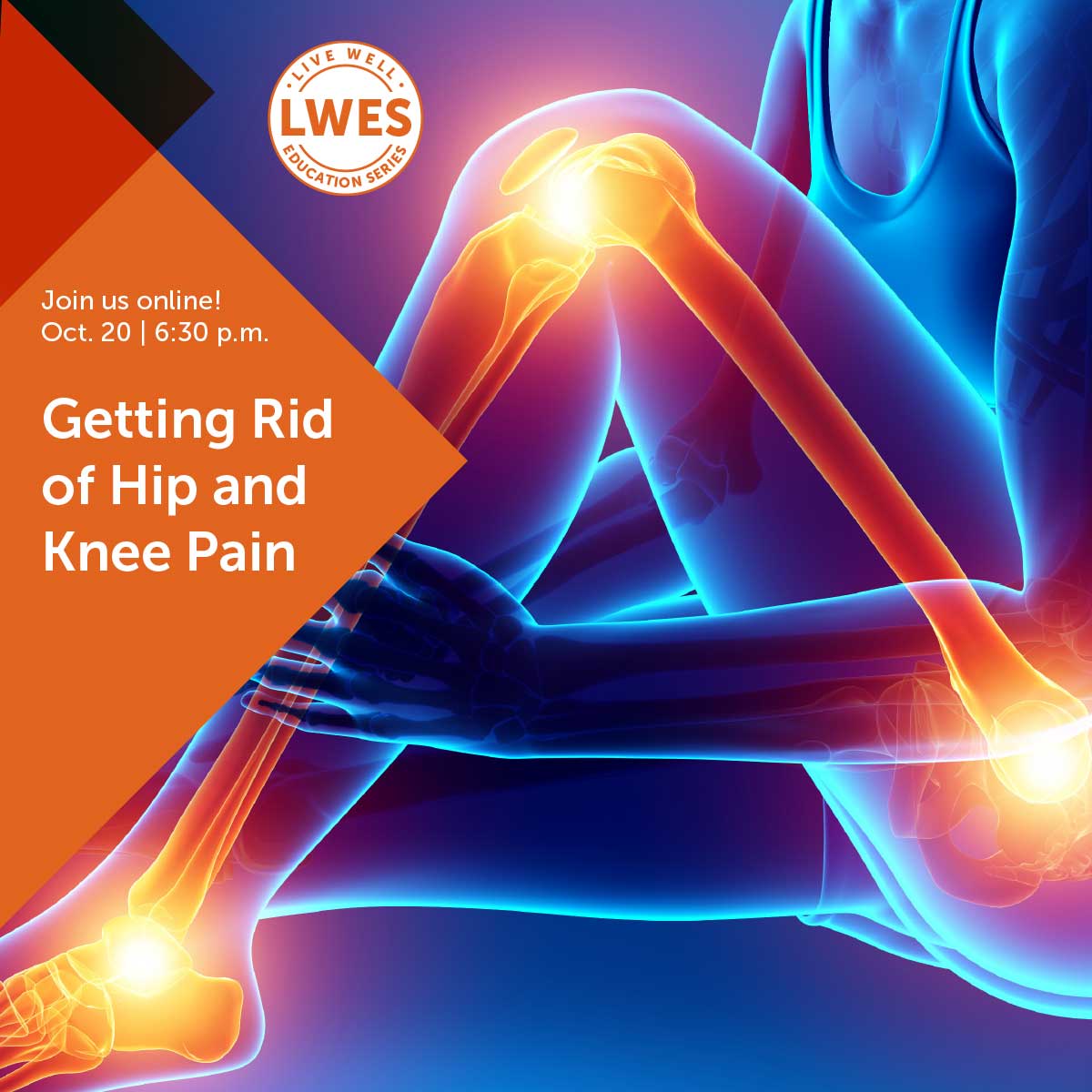 Image for Getting Rid of Hip and Knee Pain - Online Webinar
