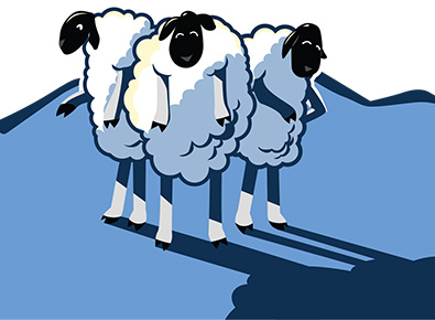 Sheep mascots for Sleep Center