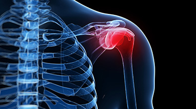 Ortho shoulder anatomy
