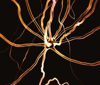 Time Is Brain — Why Fast Stroke Care Saves Lives