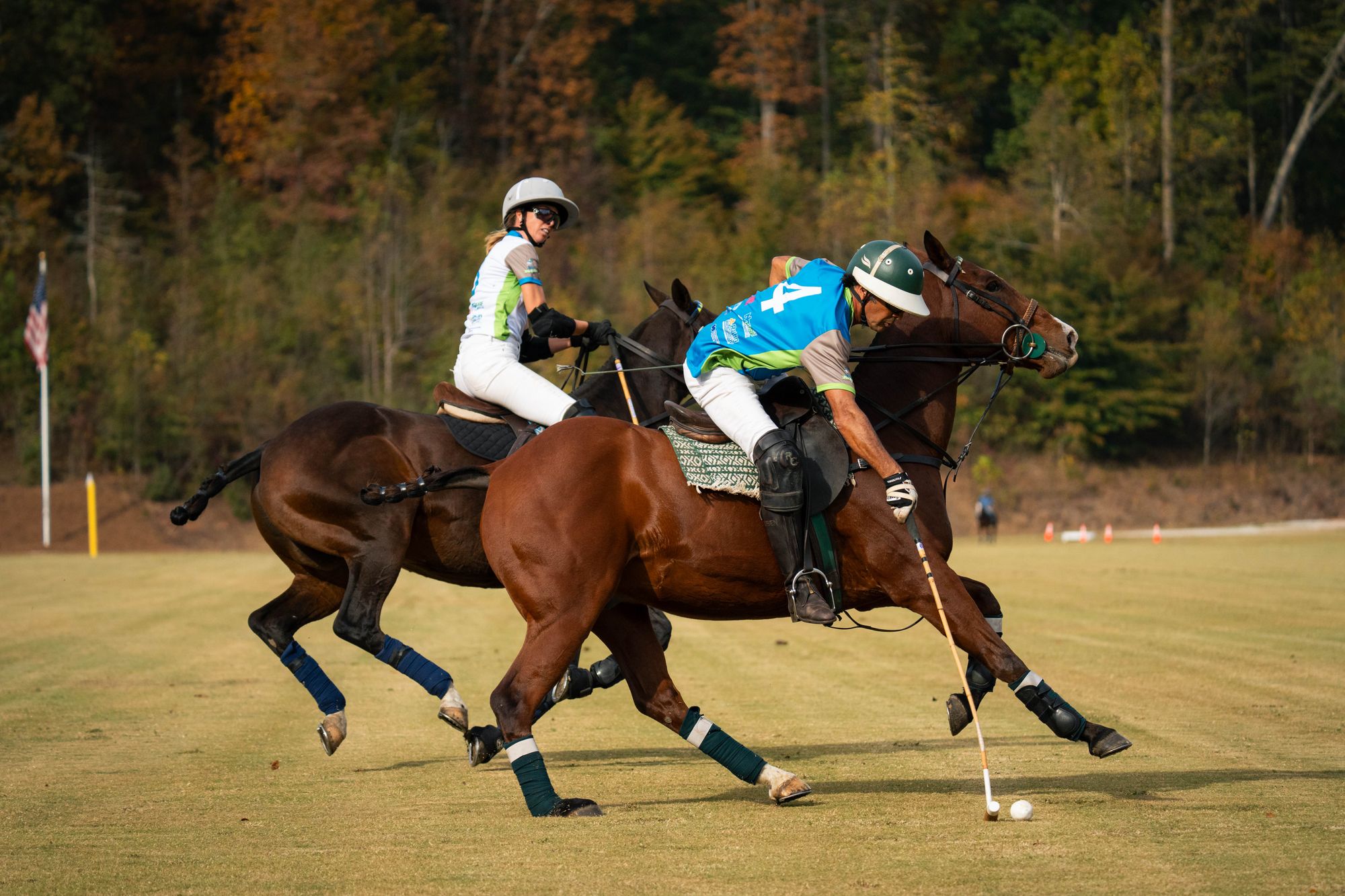 Polo team on horses