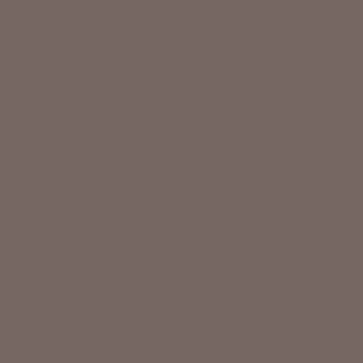 Pantone Warm Gray 9
