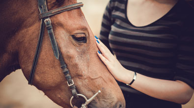 Patient petting a horse.