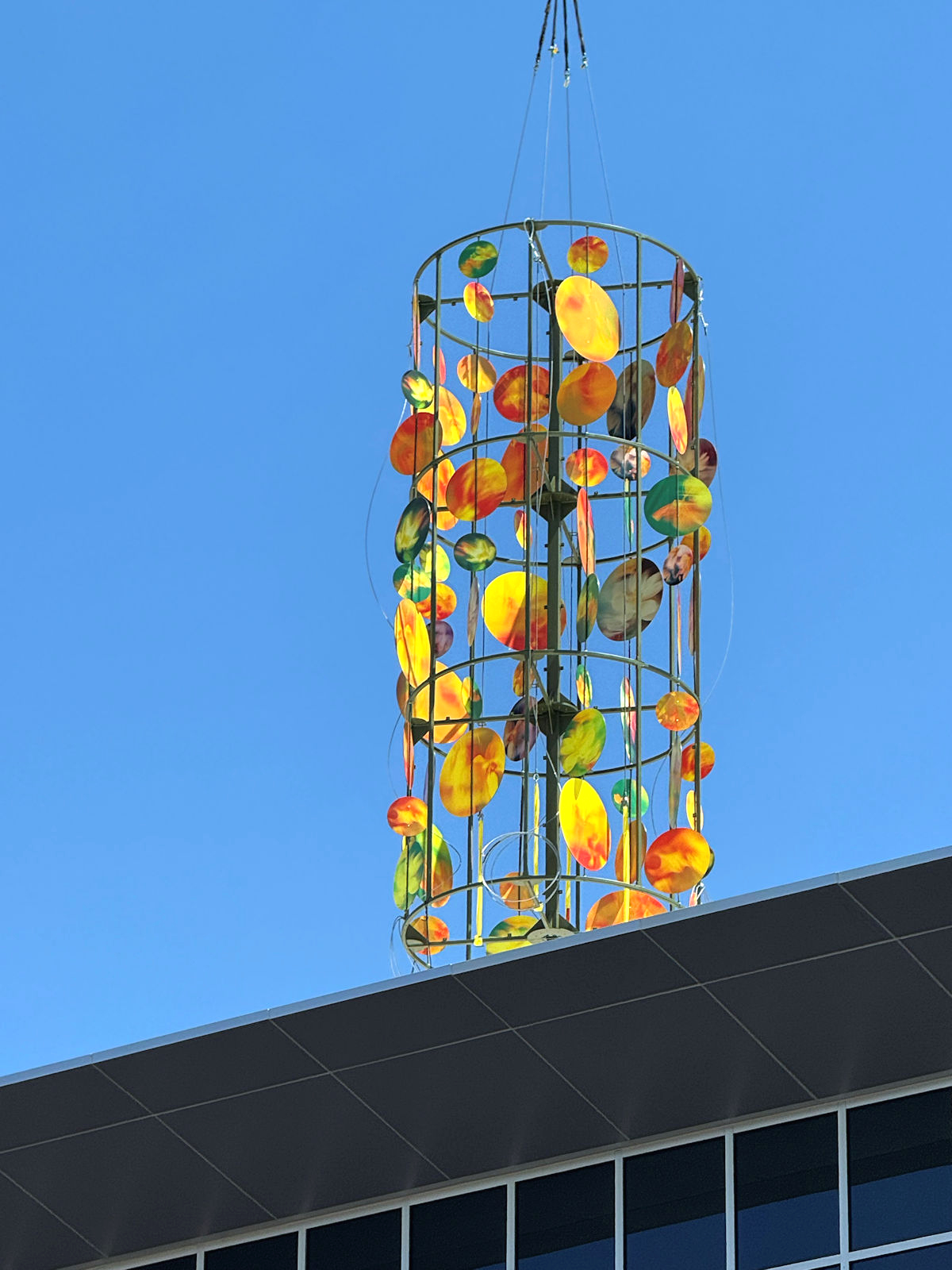 A photo of the new artwork at Tanner Medical Center/Carrollton